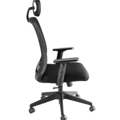 tectake Bureaustoel Phoibe ergonomisch met verstelbare hoofdsteun, Zwart Best