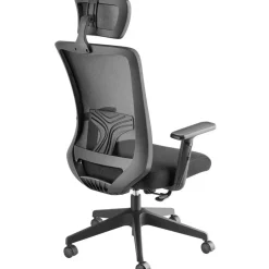 tectake Bureaustoel Phoibe ergonomisch met verstelbare hoofdsteun, Zwart Best