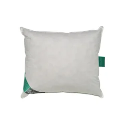 Ten Cate 100% Eendenveren Hoofdkussen - 60x70 Sale