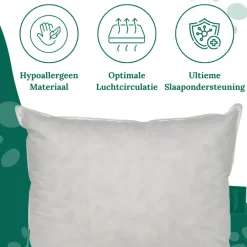 Ten Cate 100% Eendenveren Hoofdkussen - 60x70 - 2 stuks Discount