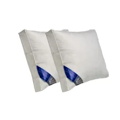 Ten Cate boxkussen - halfdons - 60x70 - 2 stuks Hot