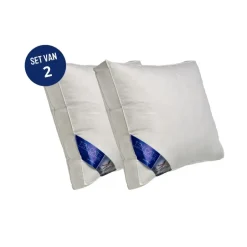 Ten Cate boxkussen - halfdons - 60x70 - 2 stuks Hot