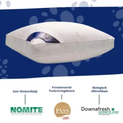 Ten Cate boxkussen - halfdons - 60x70 - 2 stuks Hot