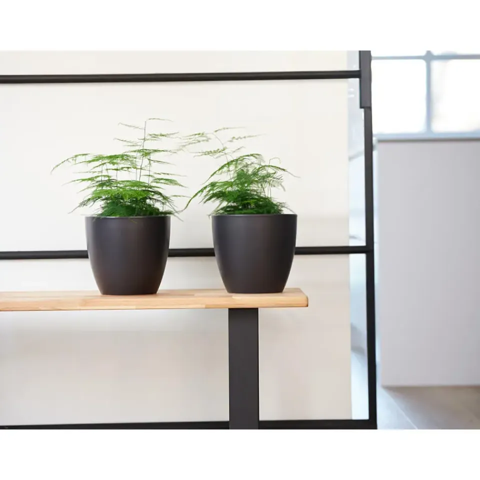 Ter Steege Bloempot - zwart - Scandinavisch - 16 x 18 cm Sale