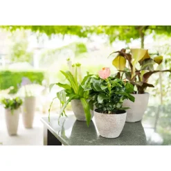 Ter Steege Bloempot/plantenpot - buiten - beige/goud - D13/H12 cm Clearance