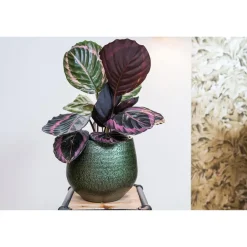 Ter Steege Plantenpot - keramiek - metallic donkergroen - 23x20cm Sale