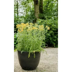 Ter Steege Plantenpot - zwart - kunststof - 28 x 24 cm Best