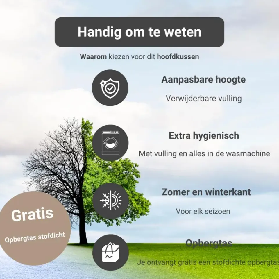 Troonz Verkoelend Hoofdkussen One - 80x80 cm Clearance