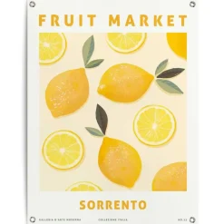 Reinders Tuinposter Citroenen - 80 x 60cm - Geel Best