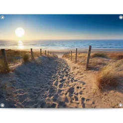 Reinders Tuinposter Duinpad - 60 x 80cm - Beige New