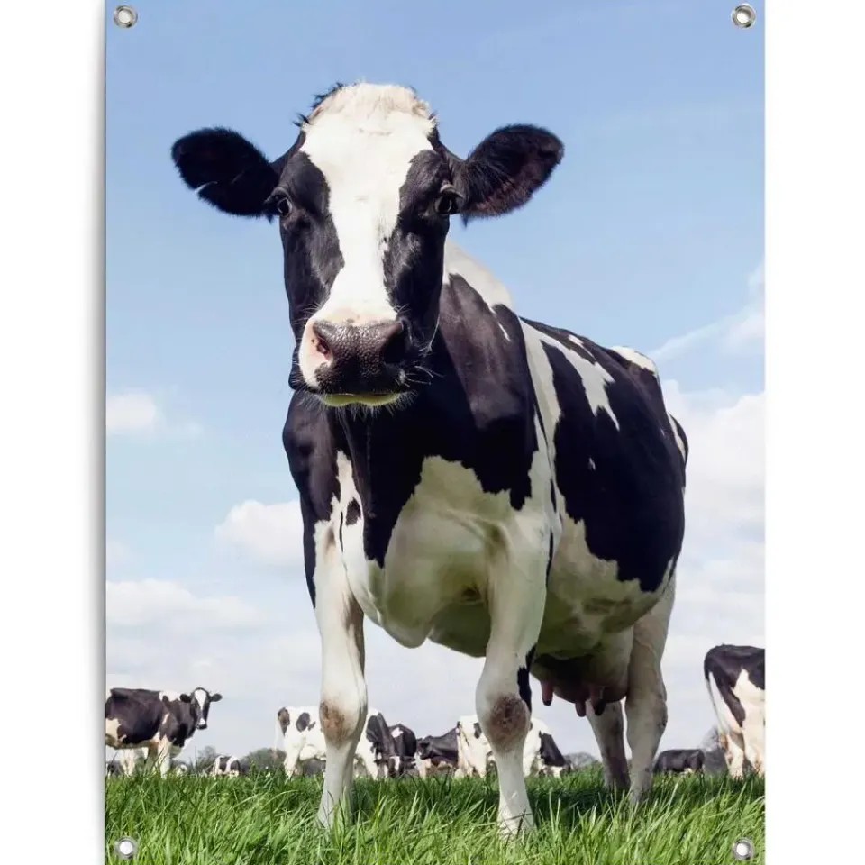 Reinders Tuinposter Dutch Cow - 80 x 60cm - Groen Best