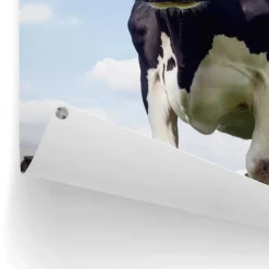 Reinders Tuinposter Dutch Cow - 80 x 60cm - Groen Best