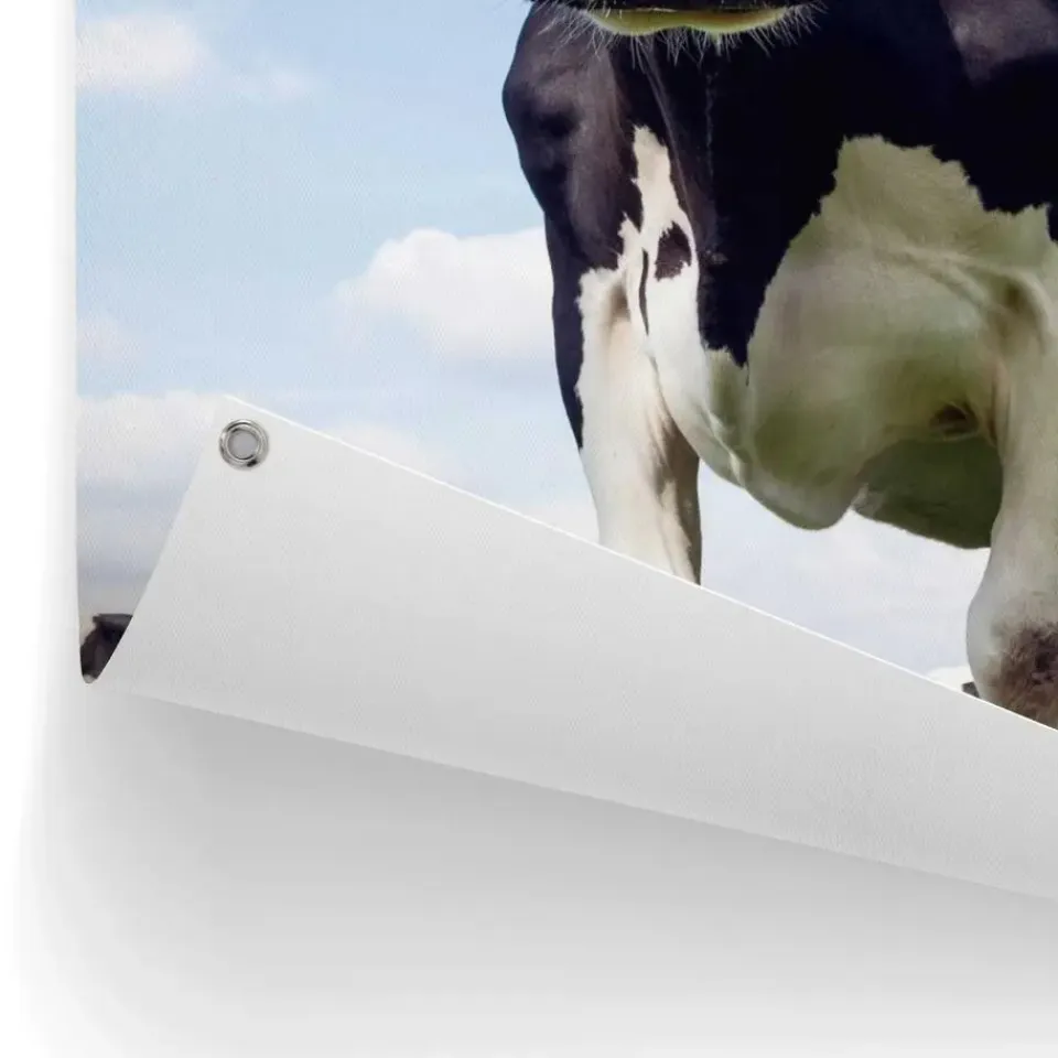 Reinders Tuinposter Dutch Cow - 80 x 60cm - Groen Best