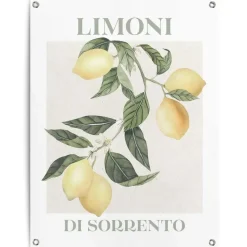 Reinders Tuinposter Limoni - 80 x 60cm - Geel Discount