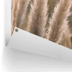 Reinders Tuinposter Pampas - 80 x 60cm - Beige Best