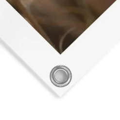 Reinders Tuinposter Pampas - 80 x 60cm - Beige Best