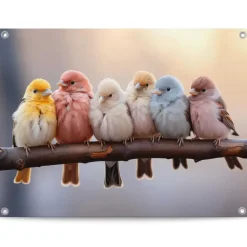 Reinders Tuinposter Pastel Birds - 60 x 80cm - Bont Clearance