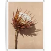 Reinders Tuinposter Schaduw bloem - 80 x 60cm - Bruin New