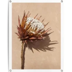 Reinders Tuinposter Schaduw bloem - 80 x 60cm - Bruin New