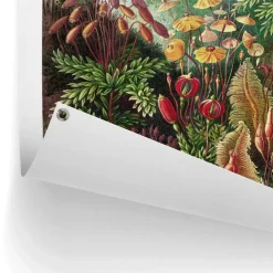 Reinders Tuinposter Sea Flora - 80 x 60cm - Groen Best