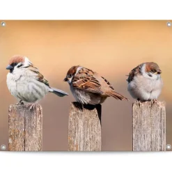 Reinders Tuinposter Vogels - 60 x 80cm - Beige New