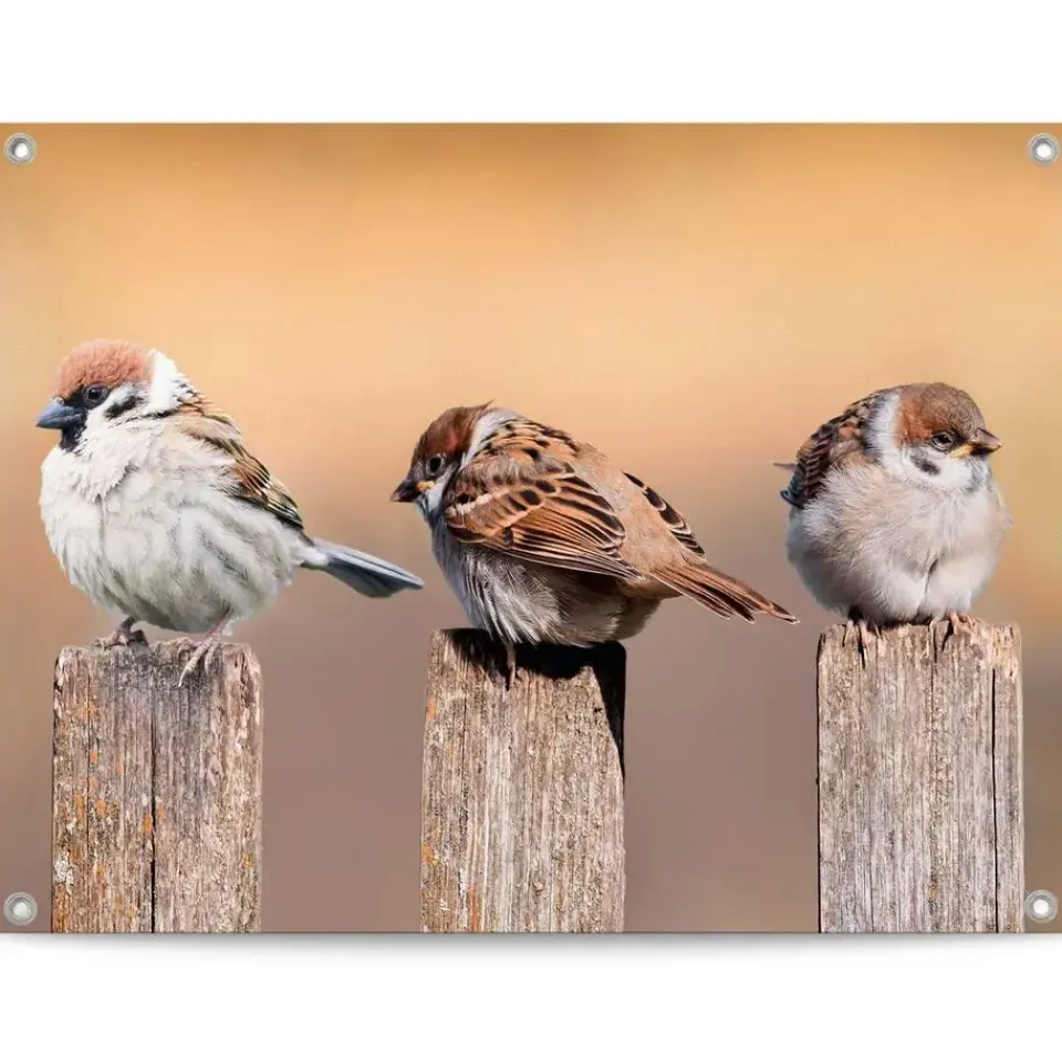 Reinders Tuinposter Vogels - 60 x 80cm - Beige New