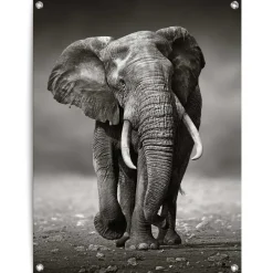 Reinders Tuinposter Wandelende olifant - 80 x 60cm - Zwart Clearance
