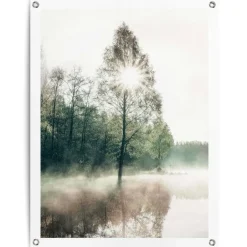 Reinders Tuinposter Zon door de bomen - 80 x 60cm - Groen Outlet