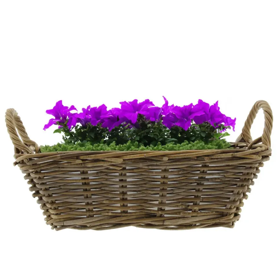 Van der Leeden Mand met hengsels - bruin - 42 x 27 x 14 cm -rotan Outlet