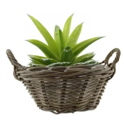 Van der Leeden Mand met hengsels - bruin - D43 x H18 cm -rotan Hot