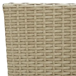 vidaXL - Buitenstoel - Beige - Poly rattan - 2 stuks New