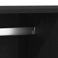 vidaXL - 2-deurs Kledingkast met 2 lades - Bewerkt hout - Zwart - 80x52x180 cm New