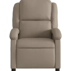 vidaXL - Fauteuil - Bruin - Kunstleer Discount