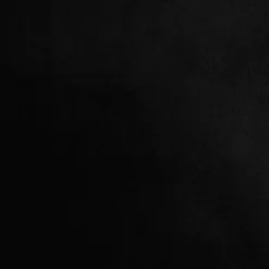 vidaXL - Fauteuil - Zwart - Kunstleer Best