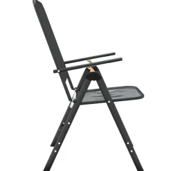 vidaXL - Inklapbare Tuinstoel - Antraciet - Metaal - 2 stuks Hot