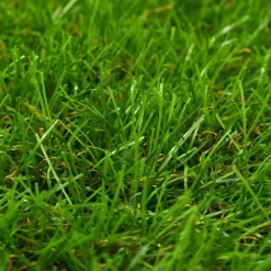 vidaXL - Kunstgras - Groen - Polypropyleen - 1 x 5 m Discount