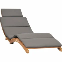 vidaXL - Ligstoel - Grijs - Teakhout