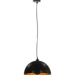 vidaXL - Plafondlamp - Zwart - Metaal - 40 cm - 2 stuks Clearance