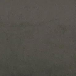 vidaXL - Slaapbank 2-zits - Donkergrijs - Fluweel - Met kussens Best