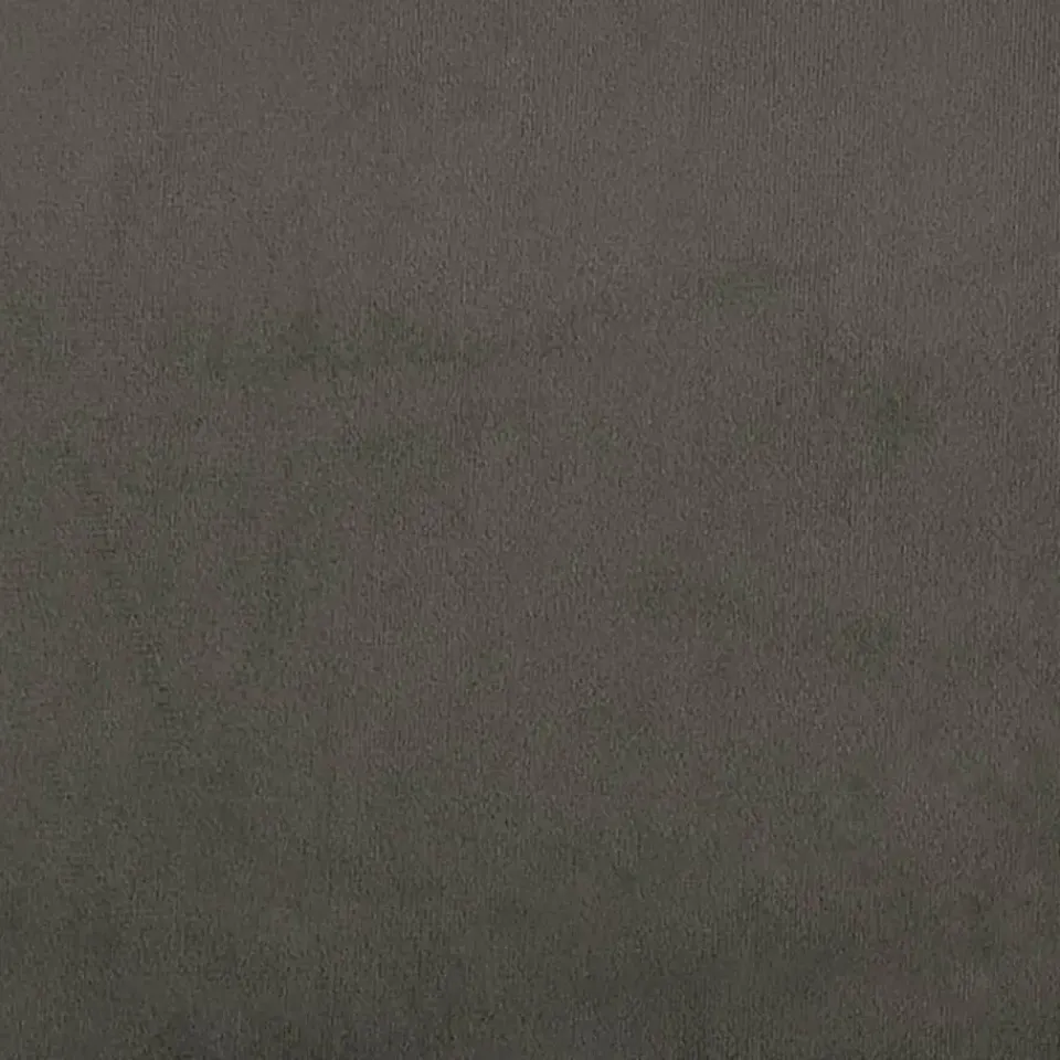 vidaXL - Slaapbank 2-zits - Donkergrijs - Fluweel - Met kussens Best