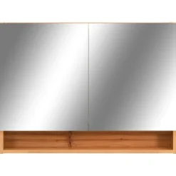 vidaXL - Spiegelkast - Bruin - MDF New