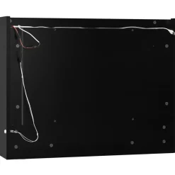 vidaXL - Spiegelkast - Zwart - MDF Hot