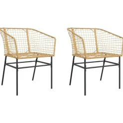 vidaXL - Terrasstoel - Bruin - Poly rattan en staal - 2 stuks Clearance