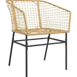 vidaXL - Terrasstoel - Bruin - Poly rattan en staal - 2 stuks Clearance