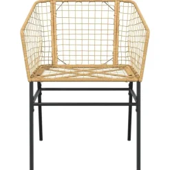 vidaXL - Terrasstoel - Bruin - Poly rattan en staal - 2 stuks Clearance