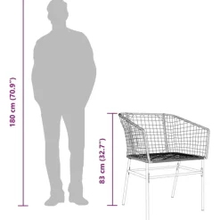 vidaXL - Terrasstoel - Bruin - Poly rattan en staal - 2 stuks Clearance