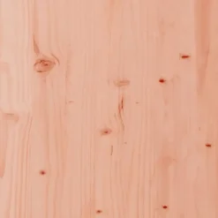 vidaXL - Tuinbank - Bruin - Douglashout