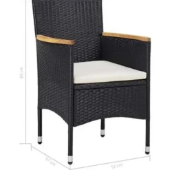 vidaXL - Tuinset - Zwart - Rattan Outlet