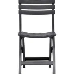 vidaXL - Tuinstoel - Antraciet - Kunststof - 2 stuks Discount