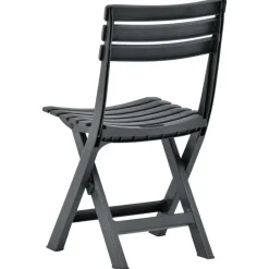 vidaXL - Tuinstoel - Antraciet - Kunststof - 2 stuks Discount